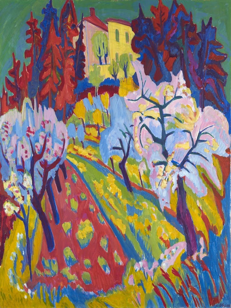 Apricot Trees