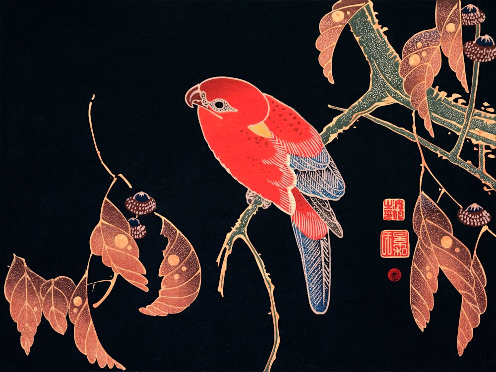 Red Parrot On The Branch Of A Tree, Itō Jakuchū