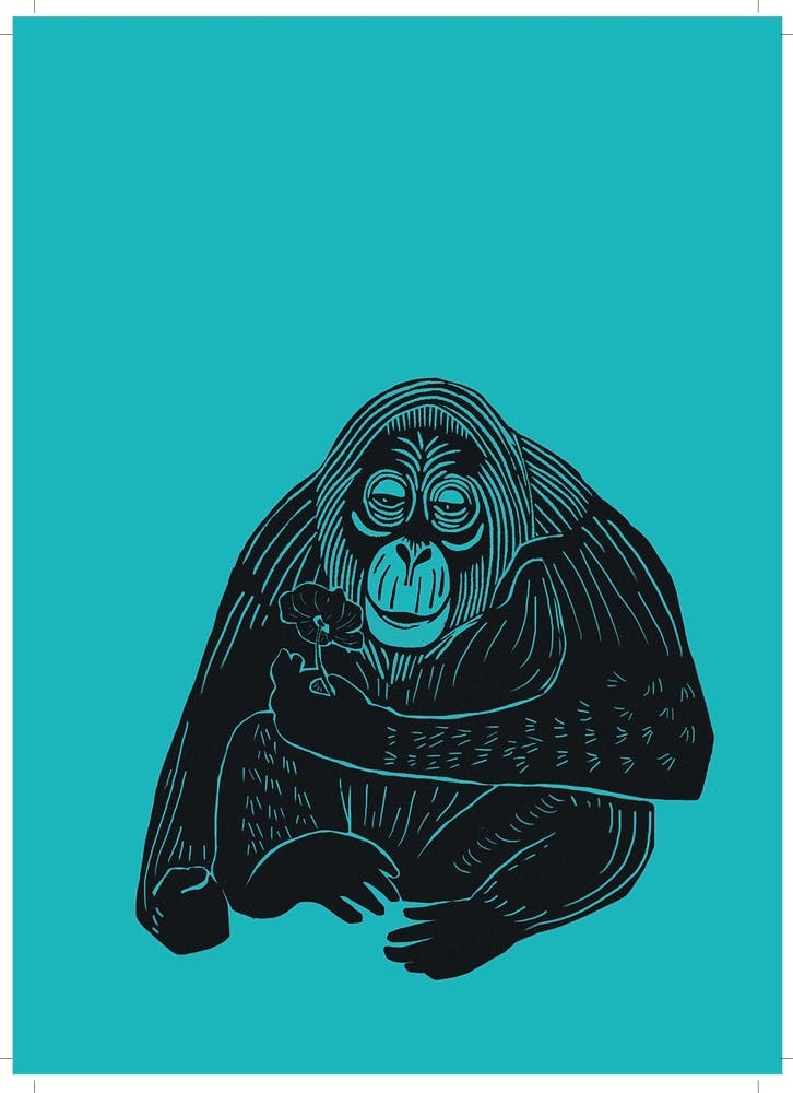 Orangutan - Aqua