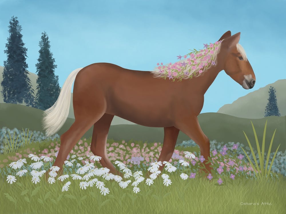 Horse In Flower Meadow
