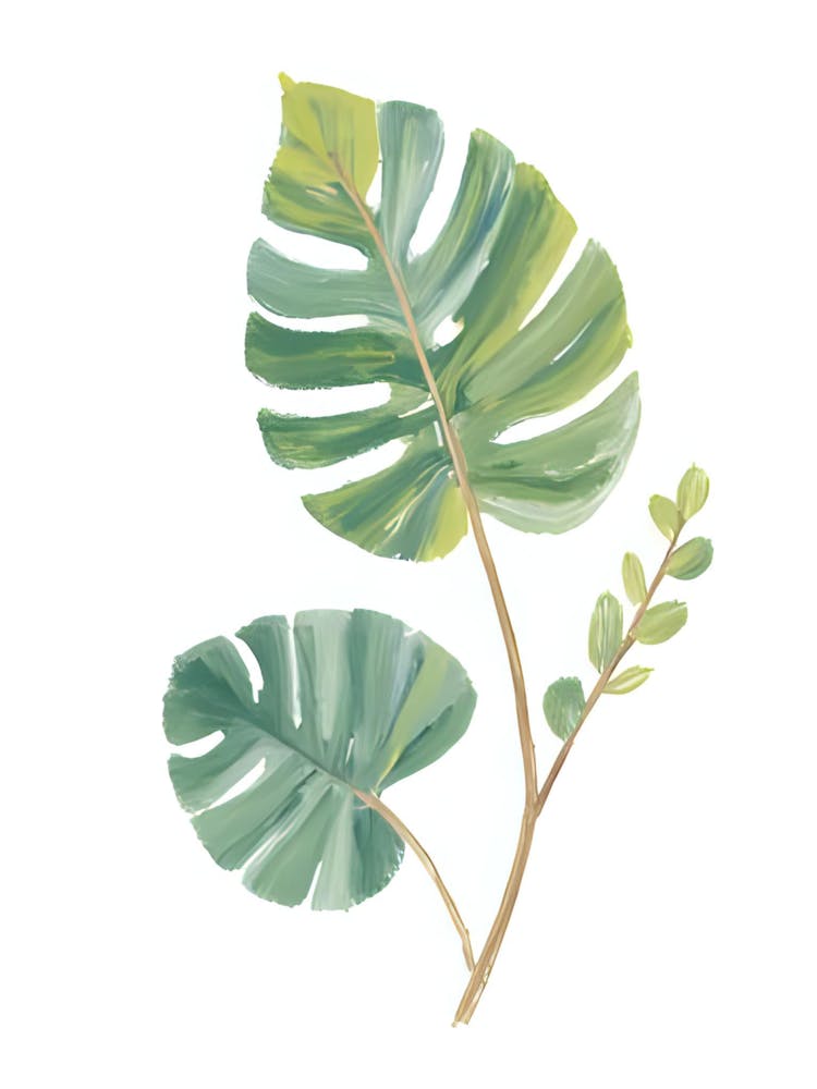 Tropical Leaves 6