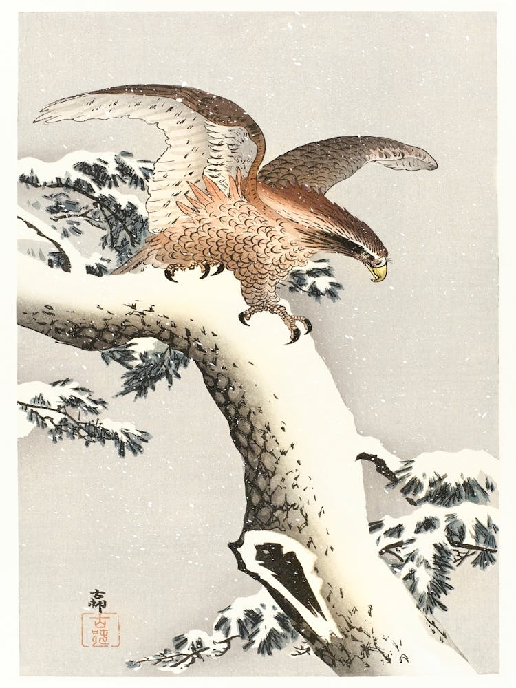 Eagle On A Tree Branch (1887 1930), Ohara Koson