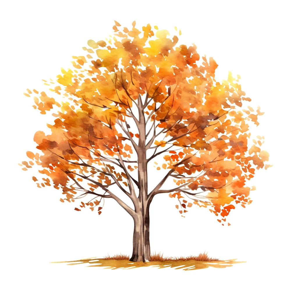 Watercolor Autumn Tree 1