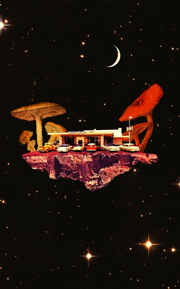 Mushroom Restaurant