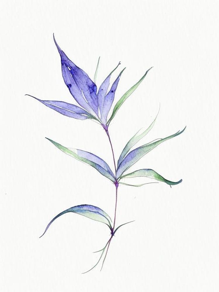 Spiderwort Leaf Minimalist Watercolour 3