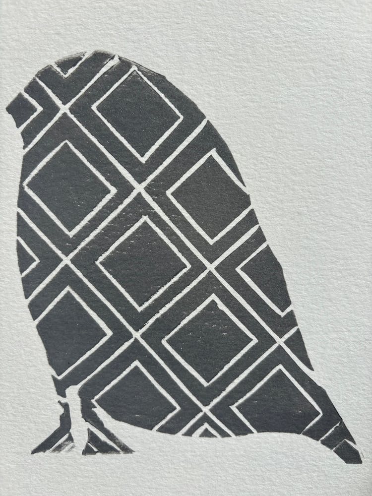 Gray Owl