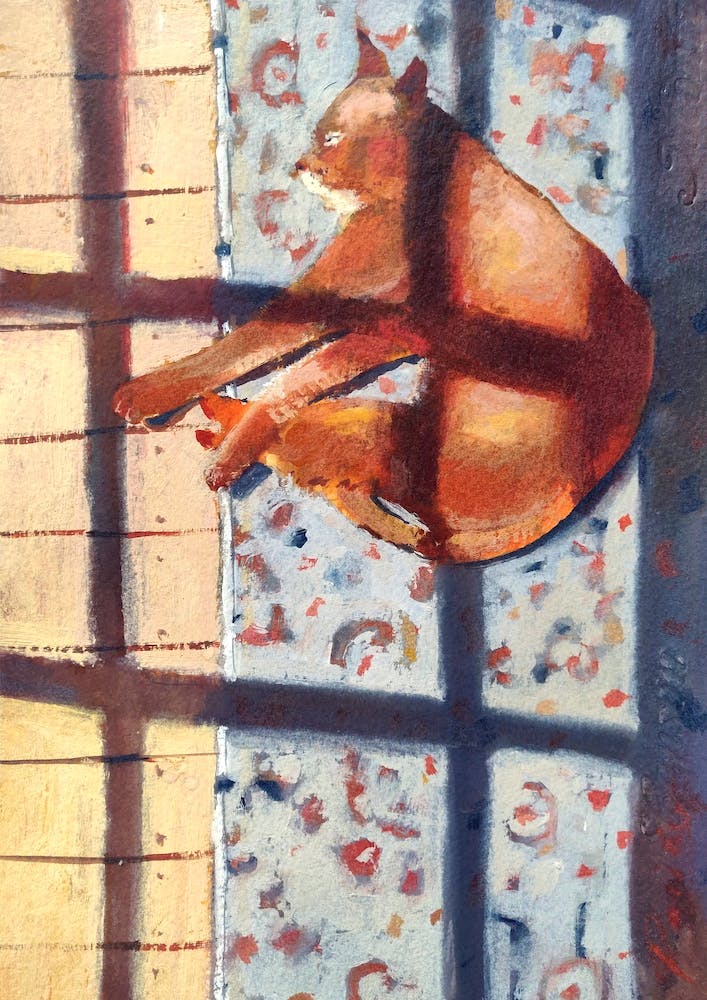 Lazy Cat Napping On The Floor In Rays Of Sun