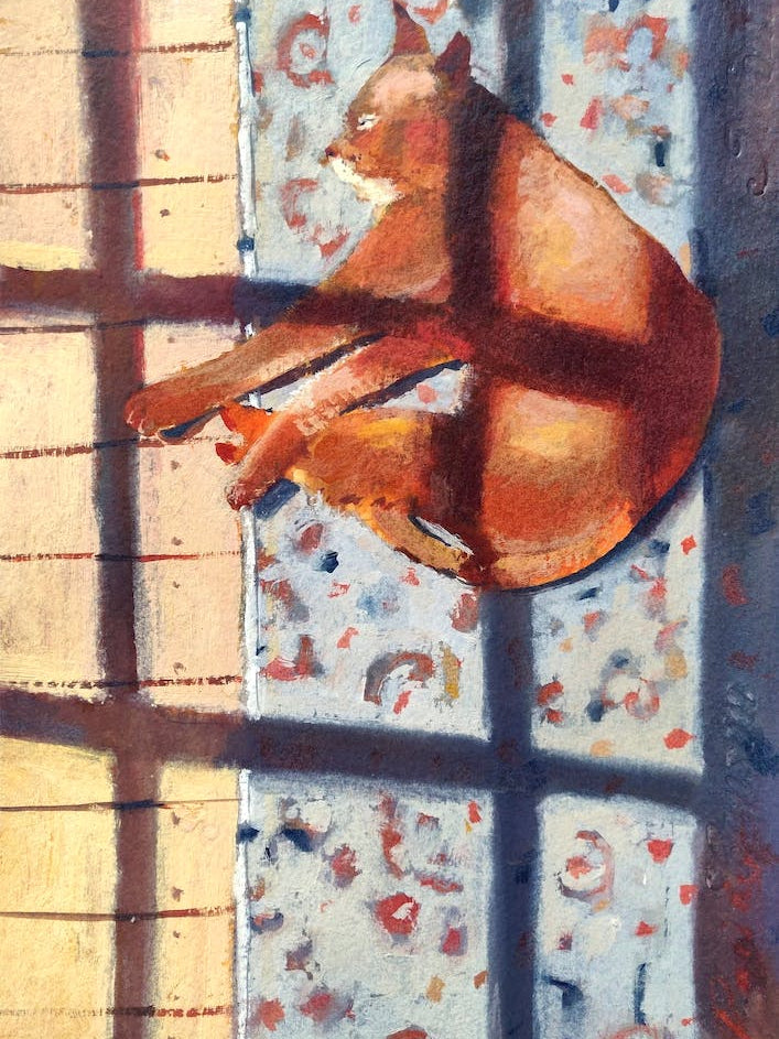 Lazy Cat Napping On The Floor In Rays Of Sun