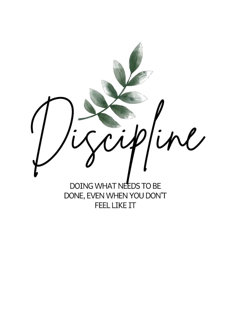 Discipline