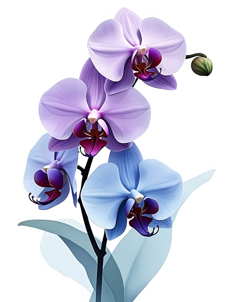 Artistic Plant Outline For Chic Wall Decor