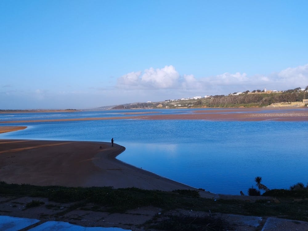 Santa Cruz Beach: A Breathtaking Beachscape
