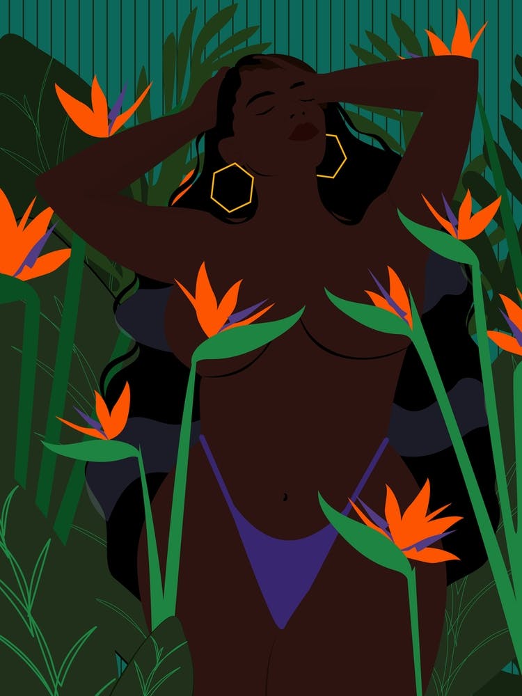 Bird Of Paradise Purple