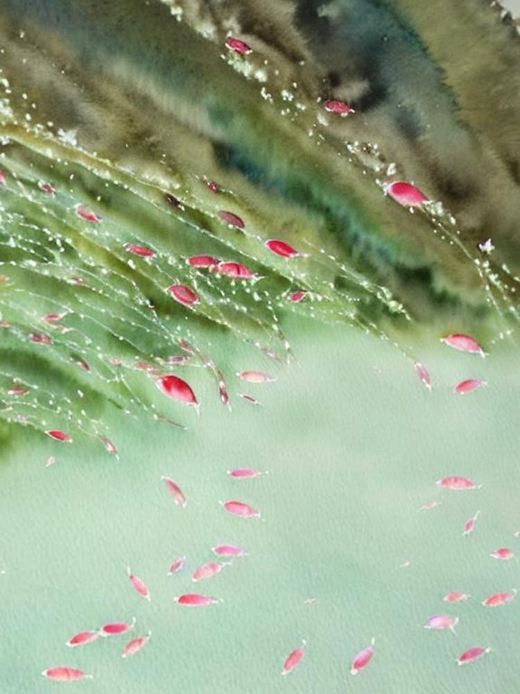 Antarctic Krill II Storybook Watercolour