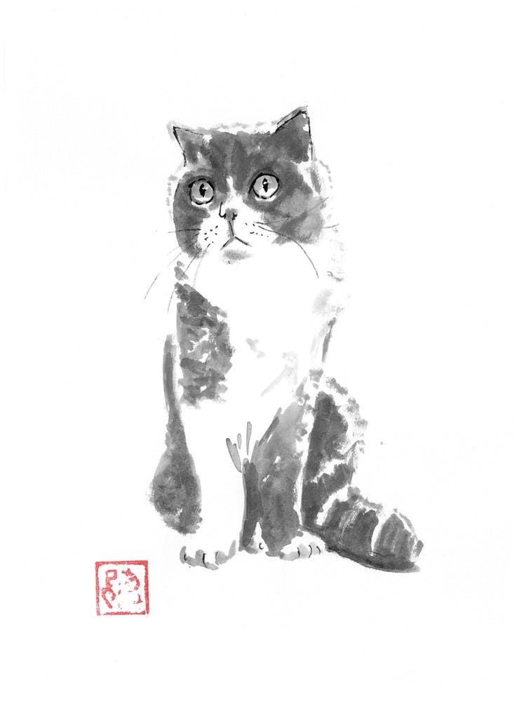 Luna cat