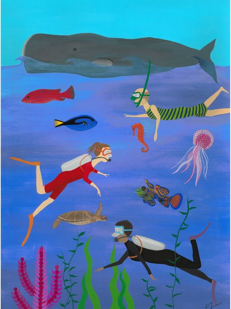 Under The Sea