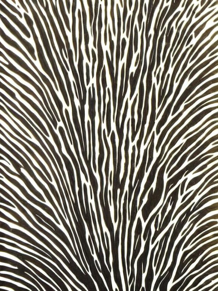 Acropora Formosa Iii Linocut