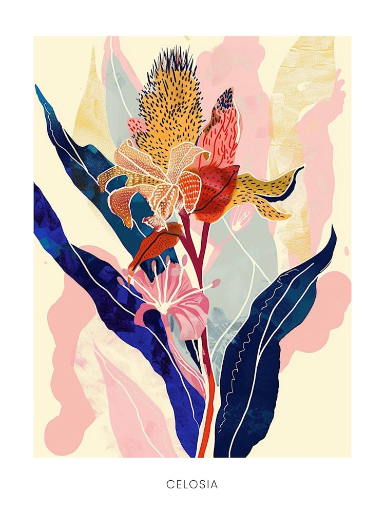Colourful Flower Illustration Poster Celosia 1