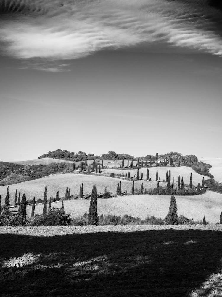 Lucciola Bella Tuscany