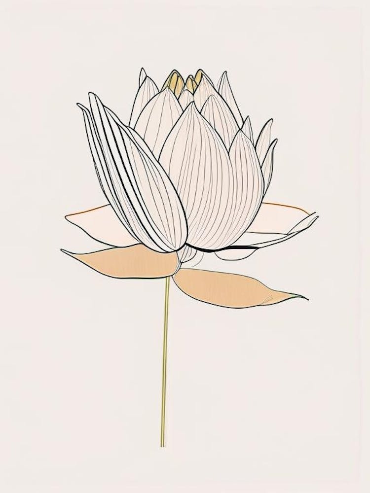 Early Lotus Minimal Line Drawing 2