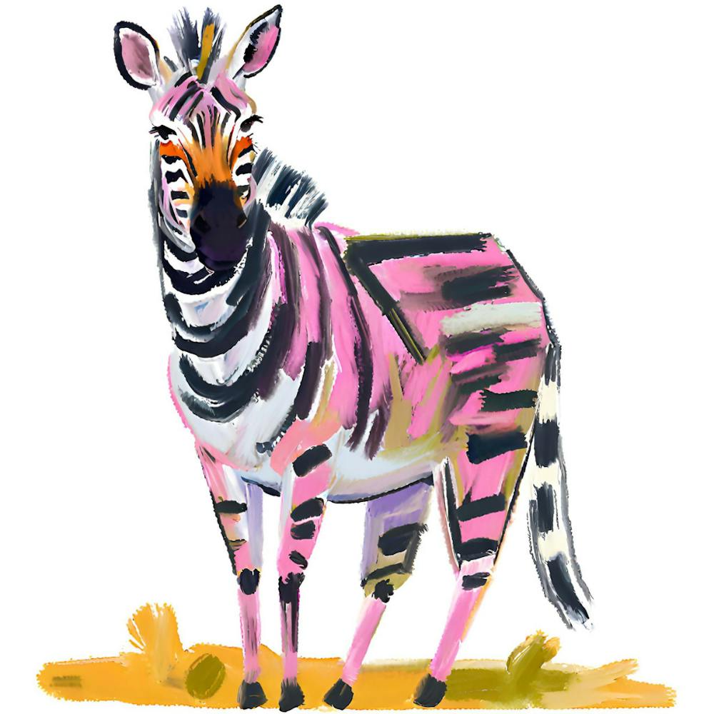 Mountain Zebra 04