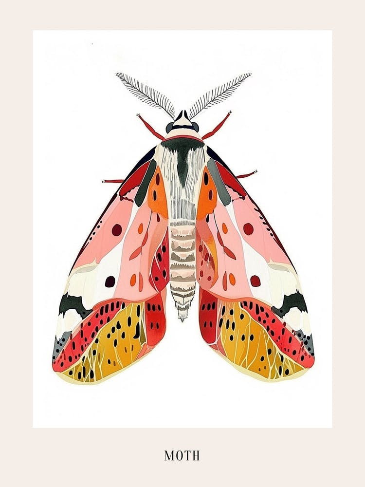Colourful Insect Illustration Moth 46 Poster
