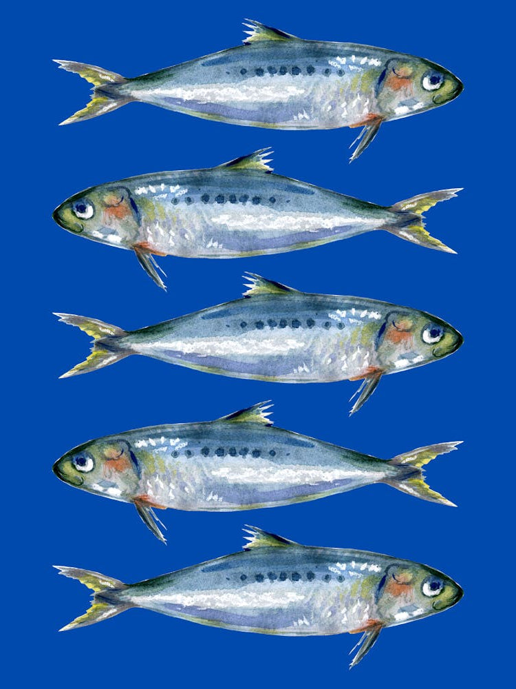 Sardines On A Blue Background