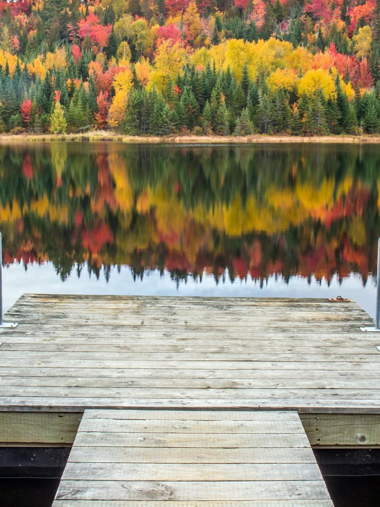 Dock On A Lake