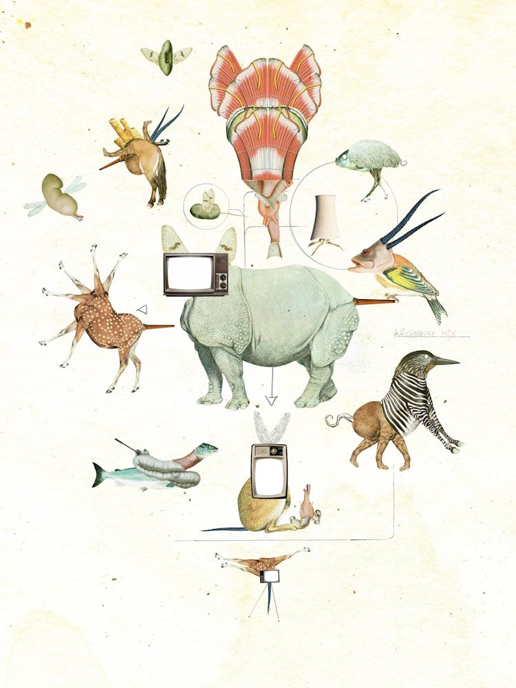 Fab Creature Mix · Evolution 2