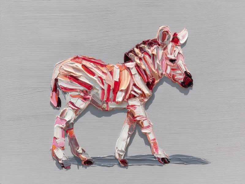 Zebra 45
