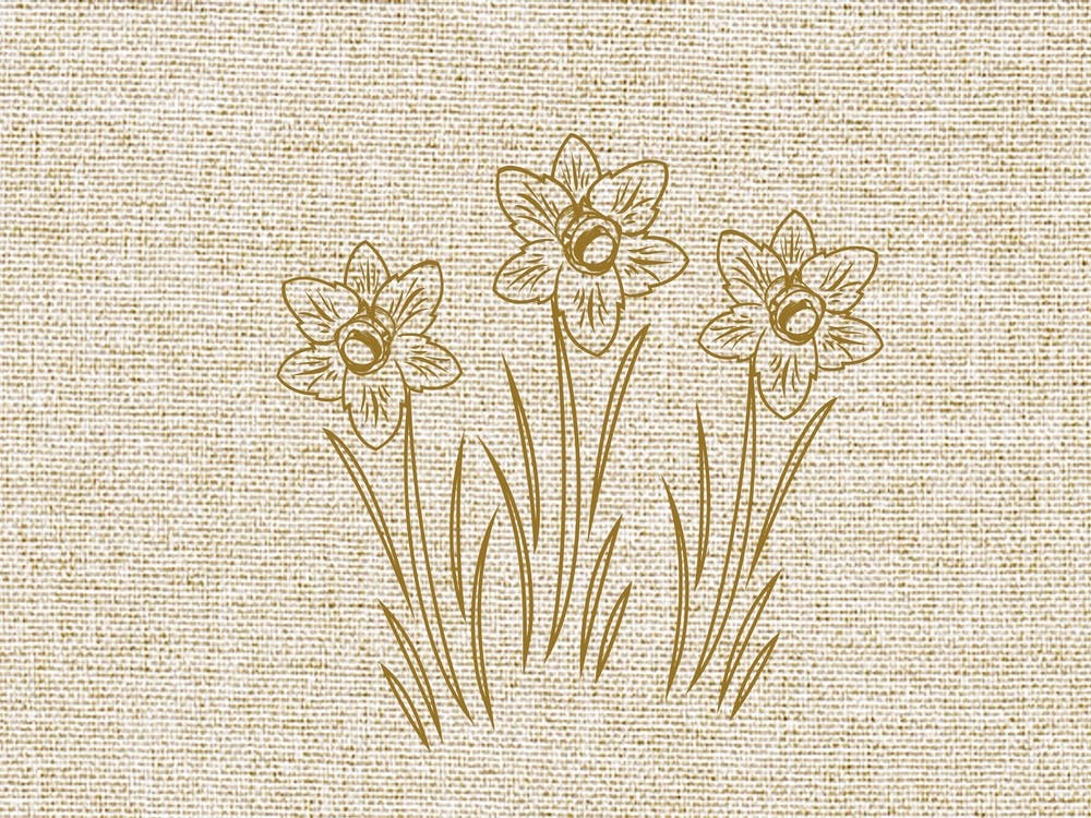 Linen Daffodils Line Art March
