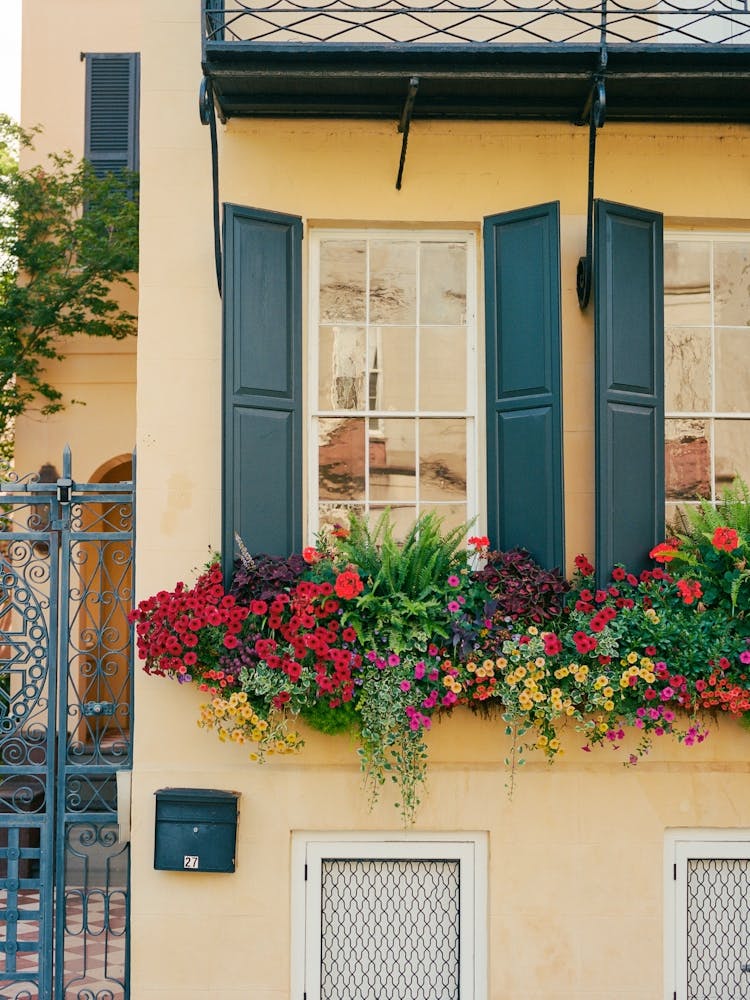 Charleston Architektur auf Film