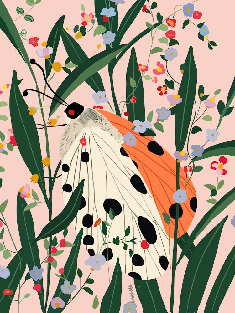 Hidden Butterfly