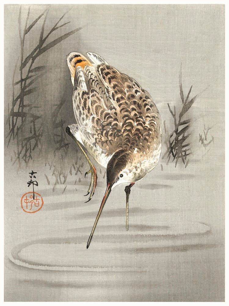 Snip In The Water (1900 1930), Ohara Koson