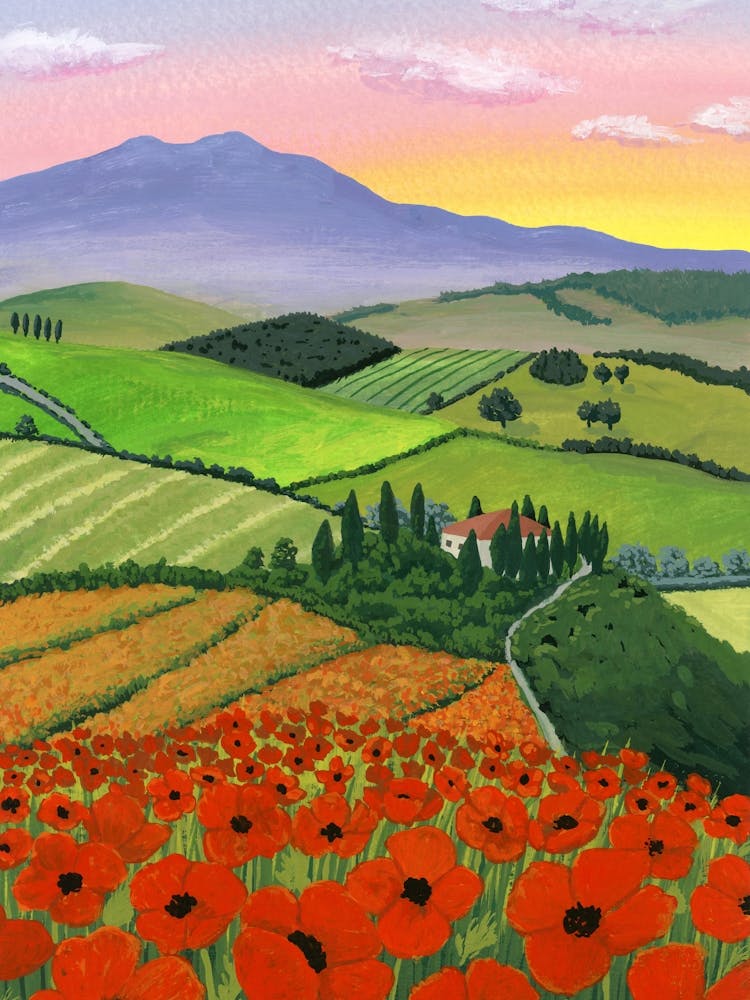 Tuscany Poppies