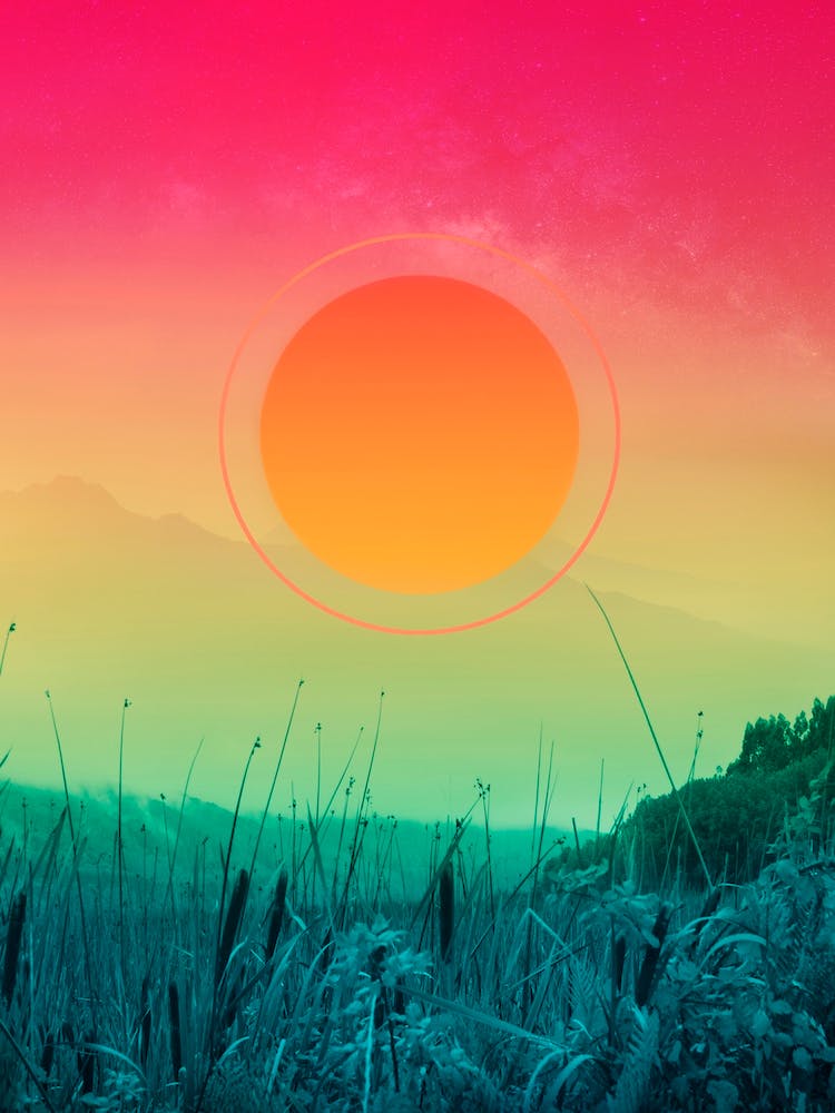 Gradients In The Forest