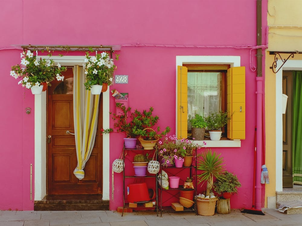 Pink House With Flowers, Burano
