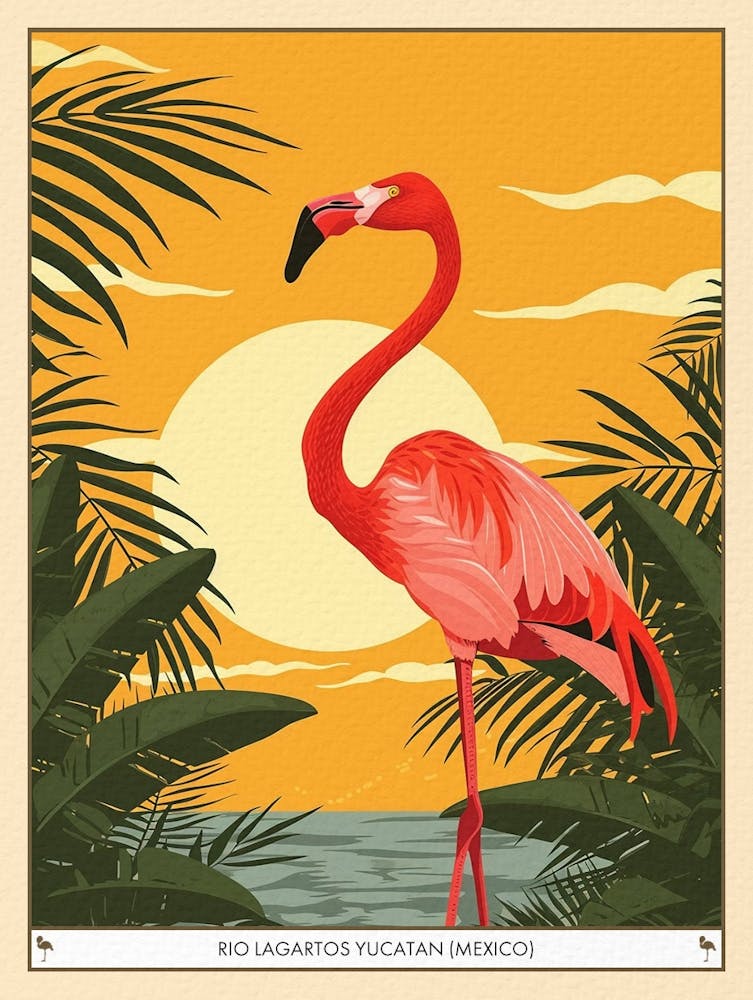 Greater Flamingo Rio Lagartos Yucatan Mexico Tropical Illustration 10 Poster