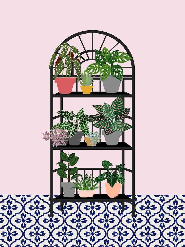 Eclectic Plant Shelf