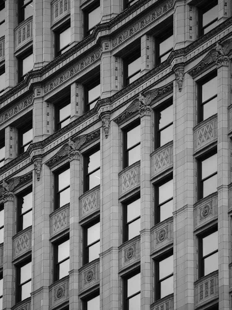 Black And White Building 1