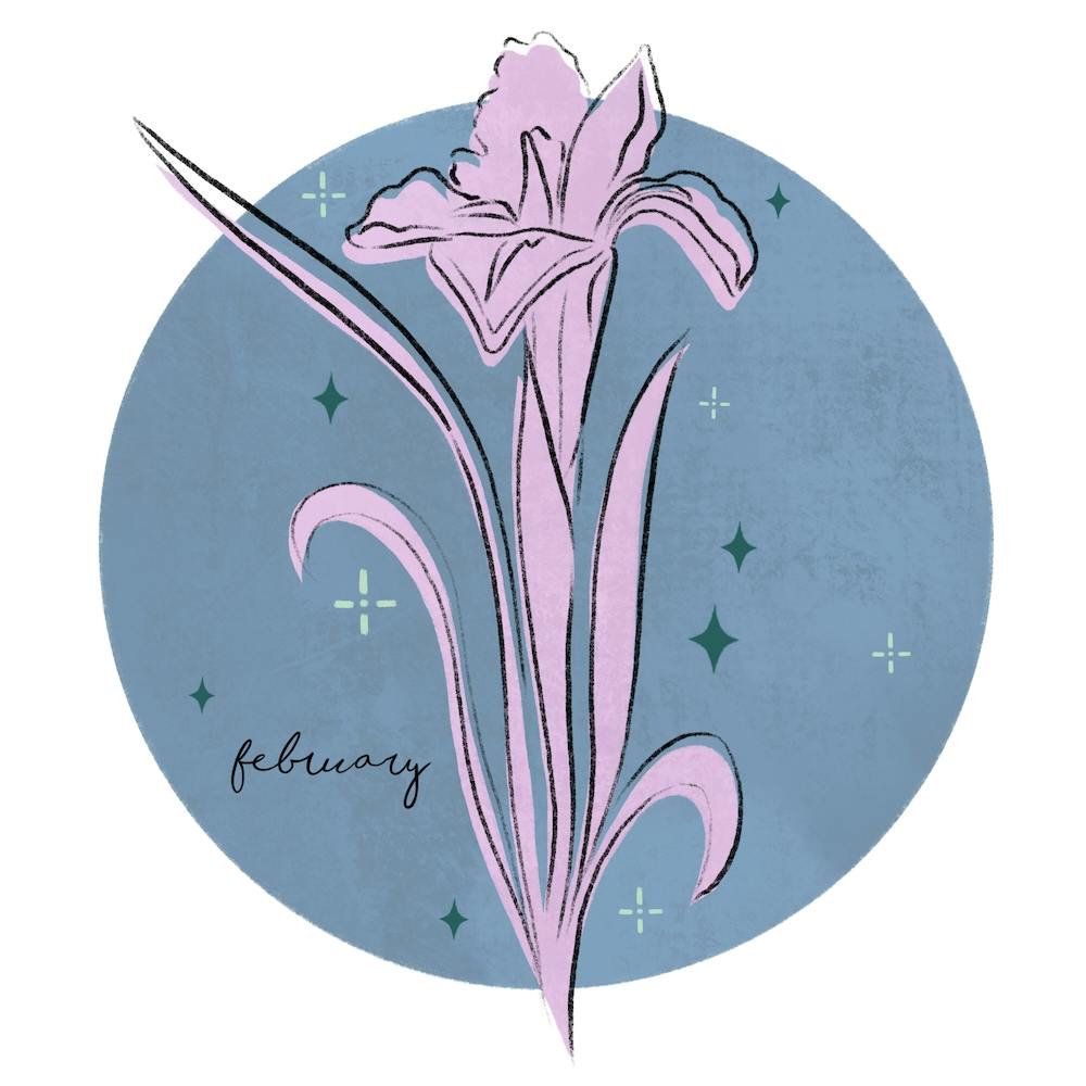 February Birth Flower Square