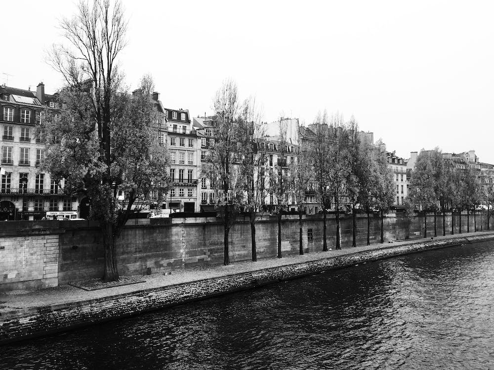 Paris and the Seine in Autumn, Black & White