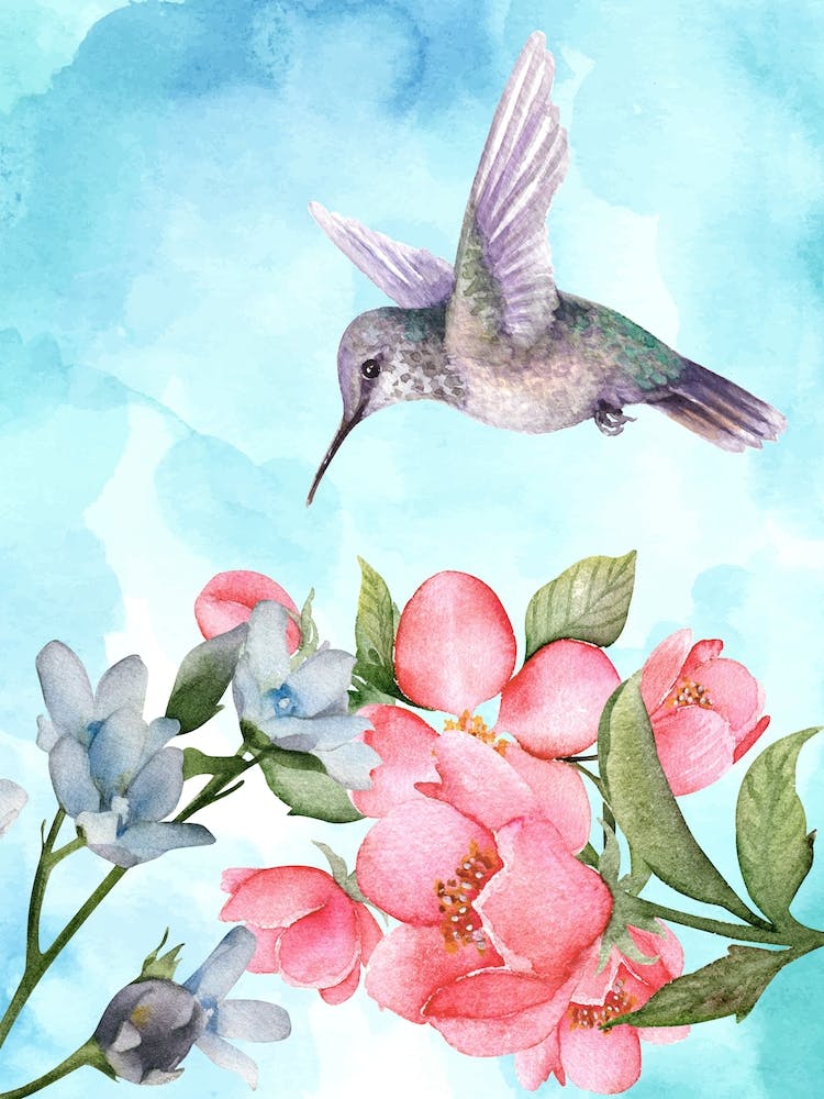Watercolor Hummingbird And Flowers