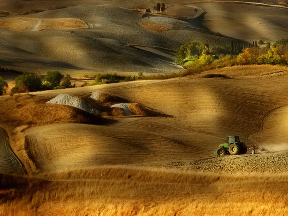 Preparation For Sowing Volterra Pi Toscana Italy