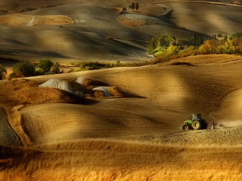 Preparation For Sowing Volterra Pi Toscana Italy