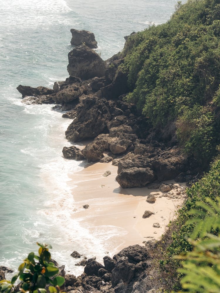 Rough Jungle Tropical Coastline