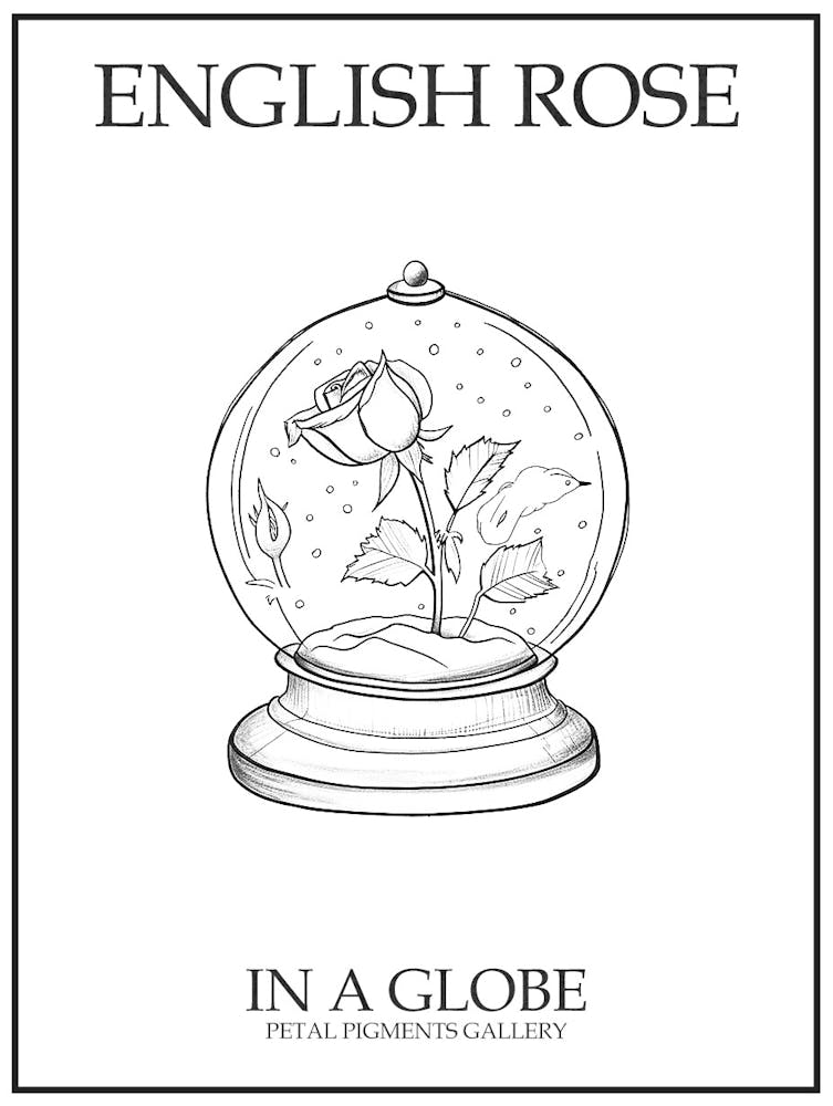 English Rose In A Globe Line Drawing 4 Poster