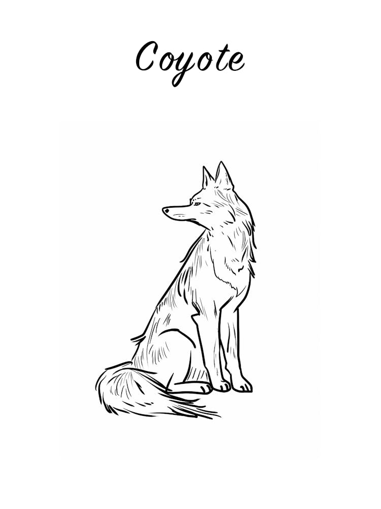 B&W Coyote Poster