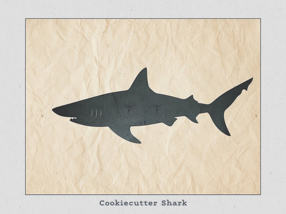 Cookiecutter Shark Silhouette 2 Poster
