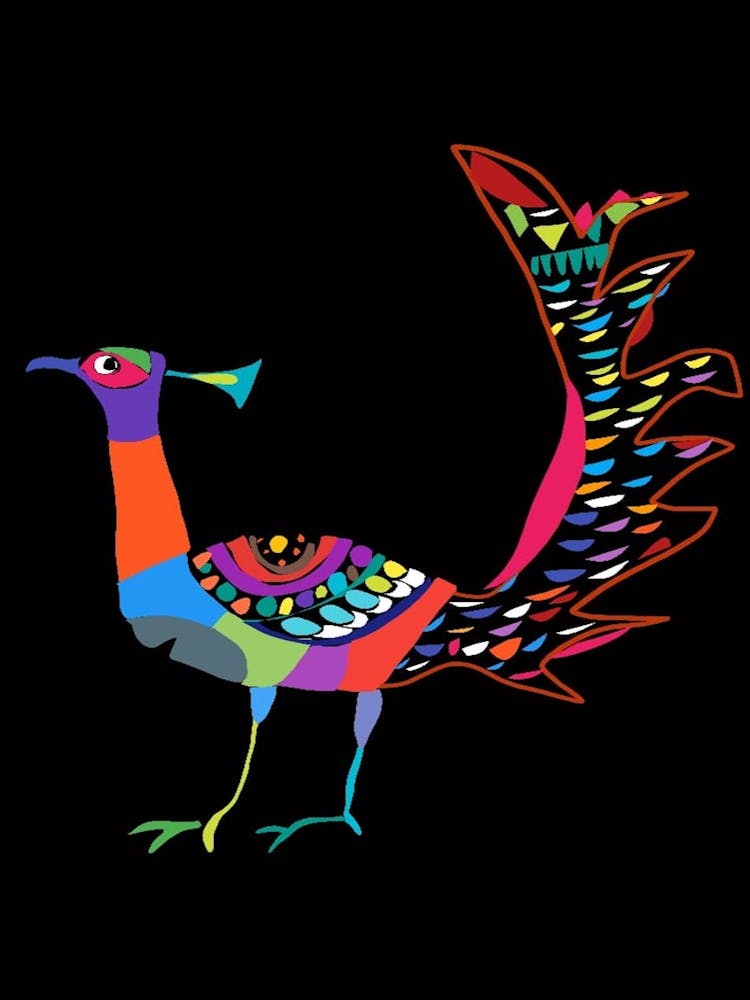 Colorful Pheasant