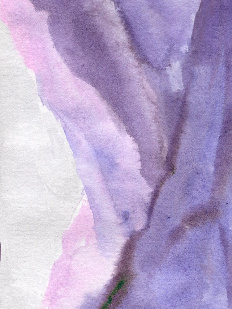 Purple Lilies